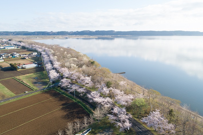 小川原湖公園