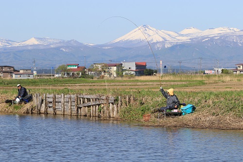 花切川釣り場（通年）