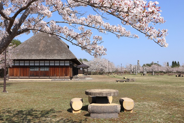 みどりの大地とロマンの森公園