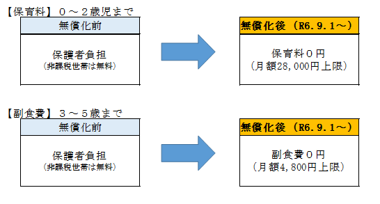 無償化の内容について